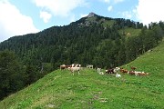 42 La cima del Pizzo Badile mi aspetta